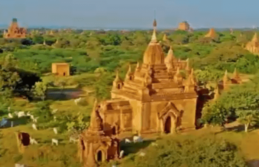 viber_image_2025-09-26_10-53-40-373