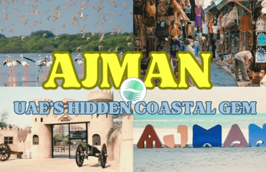 viber_image_2025-10-11_10-24-21-352