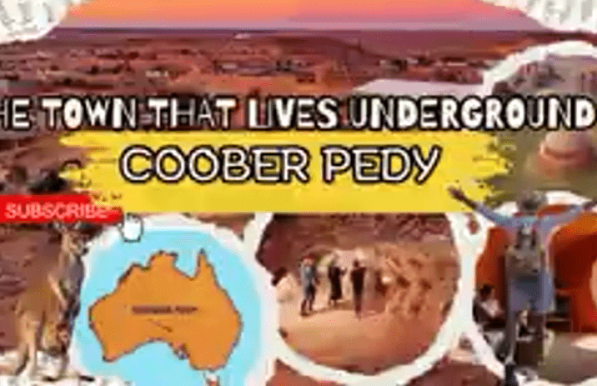 viber_image_2025-11-01_10-23-21-686